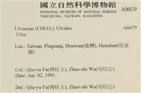 登錄號:A00006679藏品圖，第2張