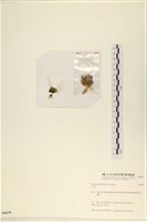 登錄號:A00006679藏品圖，第3張