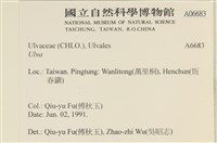 登錄號:A00006683藏品圖，第2張