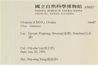 登錄號:A00006687藏品圖，第2張