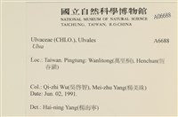 登錄號:A00006688藏品圖，第2張