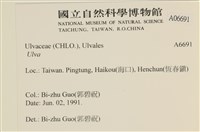 登錄號:A00006691藏品圖，第2張