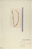 登錄號:A00006691藏品圖，第3張