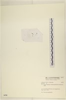 登錄號:A00006702藏品圖，第3張