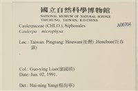 登錄號:A00006704藏品圖，第2張