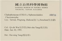 登錄號:A00006716藏品圖，第2張