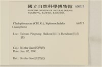 登錄號:A00006717藏品圖，第2張