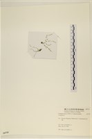 登錄號:A00006719藏品圖，第1張