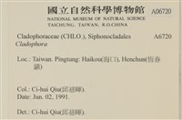 登錄號:A00006720藏品圖，第2張