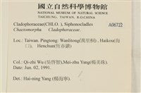 登錄號:A00006722藏品圖，第2張