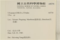 登錄號:A00006756藏品圖，第2張