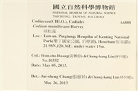 登錄號:A00006808藏品圖，第2張