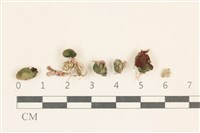 登錄號:A00006808藏品圖，第1張