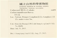 登錄號:A00006859藏品圖，第2張