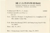 登錄號:A00006860藏品圖，第2張