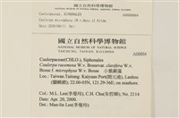 登錄號:A00006864藏品圖，第2張