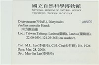 南方團扇藻藏品圖，第2張