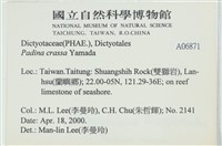 登錄號:A00006871藏品圖，第2張