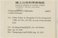 登錄號:A00006877藏品圖，第2張