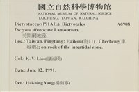 登錄號:A00006908藏品圖，第2張