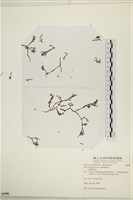 登錄號:A00006908藏品圖，第1張