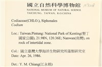 登錄號:A00007008藏品圖，第2張