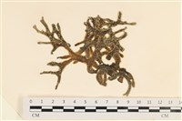 登錄號:A00007008藏品圖，第1張