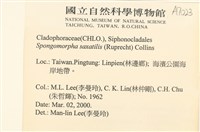 登錄號:A00007023藏品圖，第2張