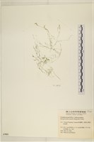 登錄號:A00007023藏品圖，第1張