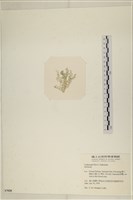 登錄號:A00007028藏品圖，第3張