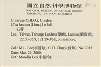 大石蓴, 石蓴藏品圖，第2張