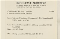 登錄號:A00007100藏品圖，第2張