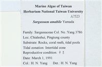 Accession Number:A00007523 Collection Image, Figure 2, Total 2 Figures