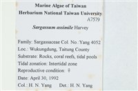 登錄號:A00007579藏品圖，第2張