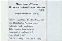登錄號:A00007581藏品圖，第2張