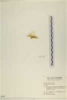 登錄號:A00007792藏品圖，第3張