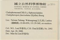 登錄號:A00007806藏品圖，第2張
