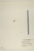 登錄號:A00007806藏品圖，第3張