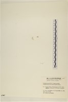 登錄號:A00007807藏品圖，第3張