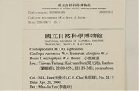 館號:A00007810藏品圖，第2張