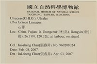 登錄號:A00007832藏品圖，第2張