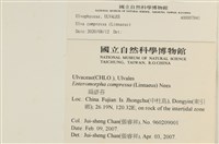 登錄號:A00007841藏品圖，第2張