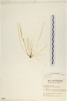 登錄號:A00007841藏品圖，第1張