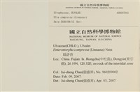 登錄號:A00007842藏品圖，第2張