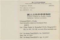 登錄號:A00007843藏品圖，第2張