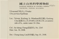 石蓴藏品圖，第2張