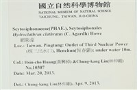 登錄號:A00007891藏品圖，第2張