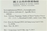 登錄號:A00007892藏品圖，第2張