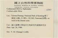 登錄號:A00007947藏品圖，第2張