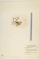 登錄號:A00007947藏品圖，第3張